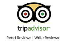 Trip Advisor